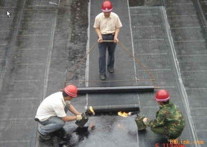 深圳市众邦物业管理图册 精细化管理与社区服务典范